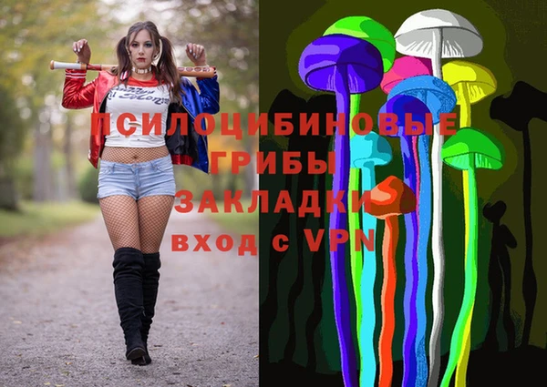 а пвп мука Алзамай
