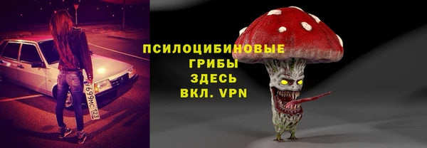амф Алексин