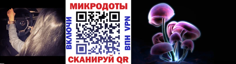 мега сайт  Чайковский  Псилоцибиновые грибы Magic Shrooms 