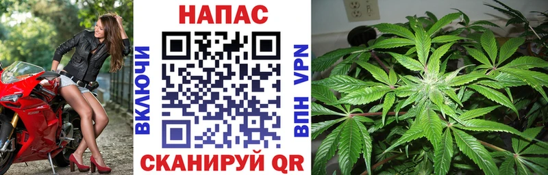 наркота  Чайковский  Конопля план 